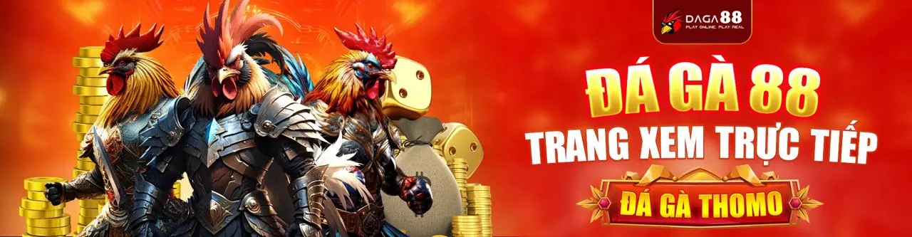 Chương trình VIP codehi88 nhà cái với các đặc quyền sang trọng